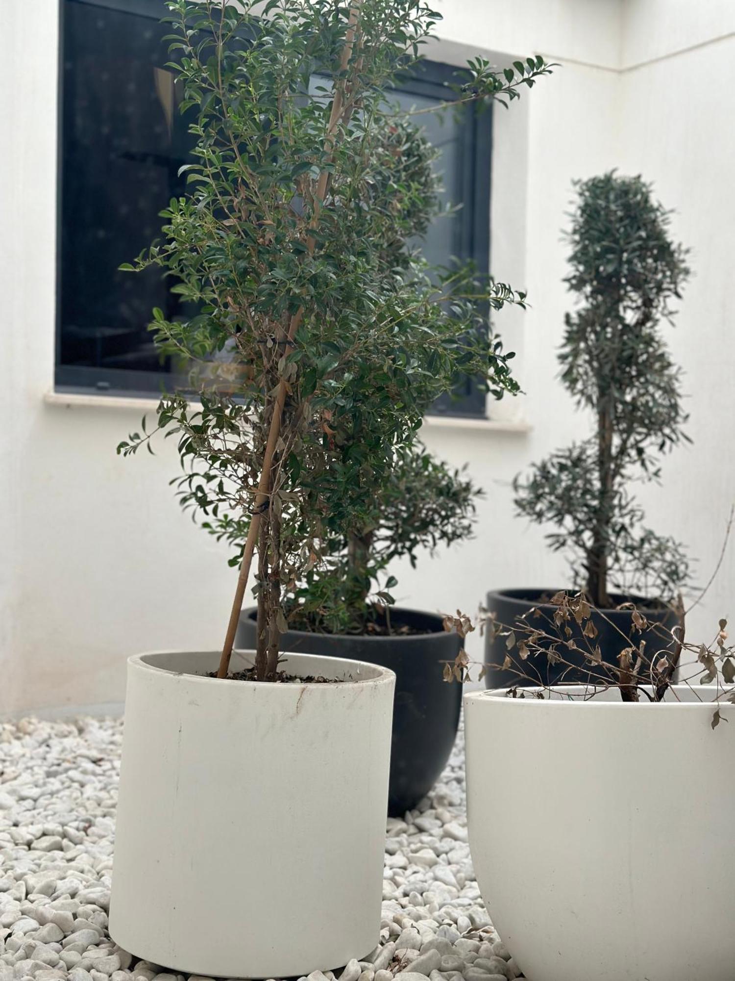 Hostel Alicante Zewnętrze zdjęcie
